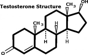 Testosterone structure